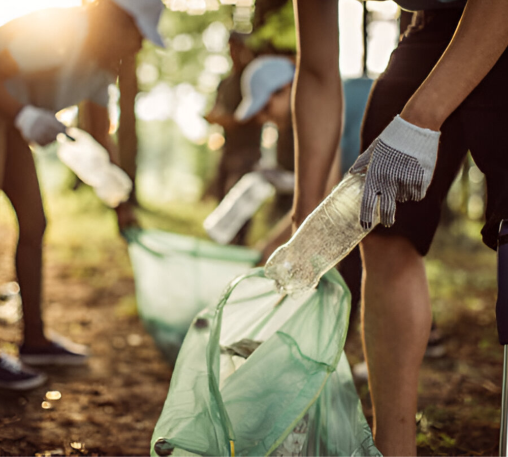 Environmental Services